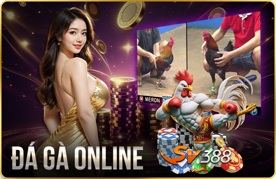 Đá Gà Sv388